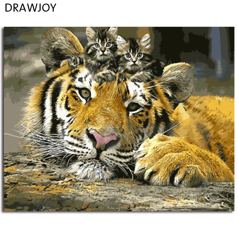 

DRAWJOY Tiger And Cat Framed DIY Oil Paint DIY Painting By Numbers On Canvas Coloring By Numbers For Home Decor