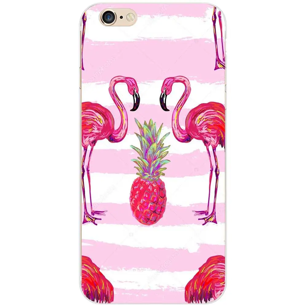 flamingos5