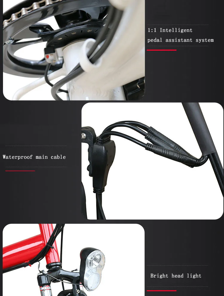 Top JS New Electric Bike 20" 36V10AH Lithium battery E bike 36V250W Rear Hub Motor Folding Electric bicycle 6 Speed velo electrique 10 Top JS New Electric Bike 20" 36V10AH Lithium battery E bike 36V250W Rear Hub Motor Folding Electric bicycle 6 Speed velo electrique 10