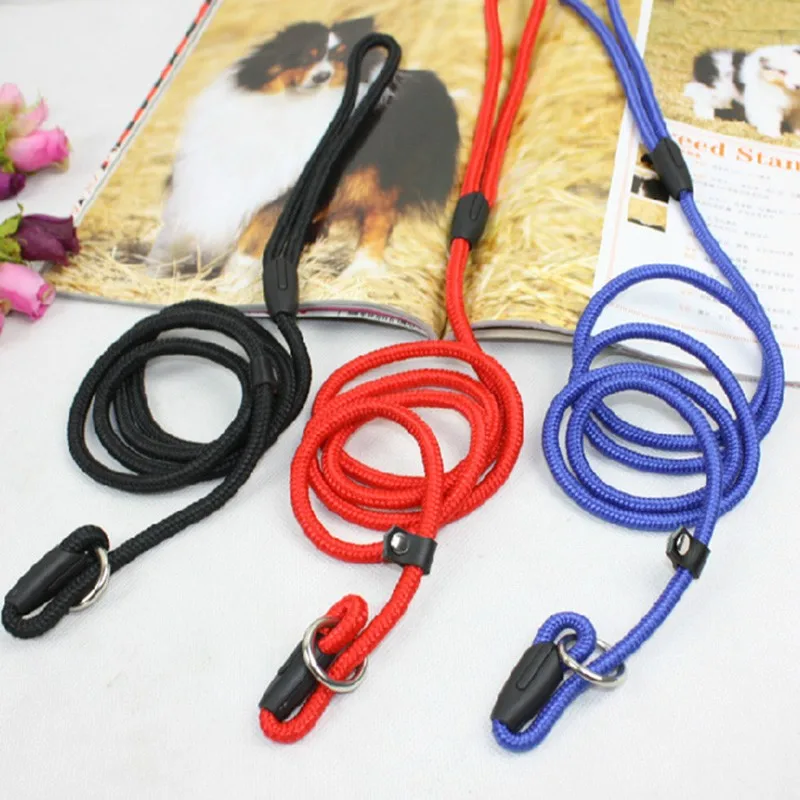 Dog Pinch Collar For Sale Dog Pinch Collar For Sale