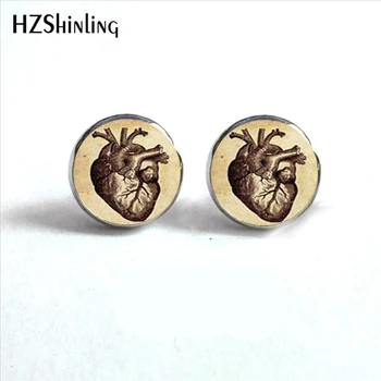 

ED-0020 New Steampunk Anatomical Heart Earrings Anatomy Jewelry Amazing Anatomical Heart Hypoallergenic Stud Earrings HZ4
