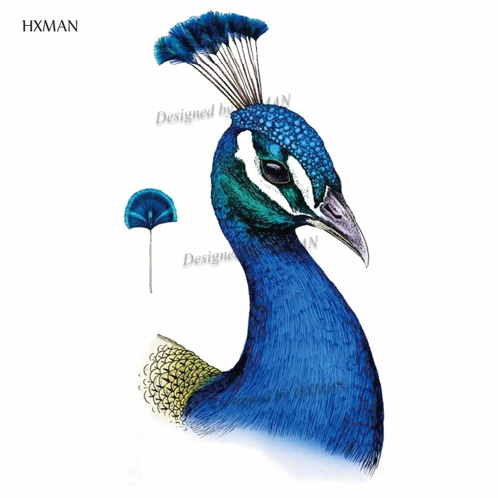 HXMAN Parrot временная татуировка наклейка для детей ручная боди-арт птица горячий дизайн поддельные женские водонепроницаемые тату бумага 9,8X6 см A-062 - Цвет: A 201