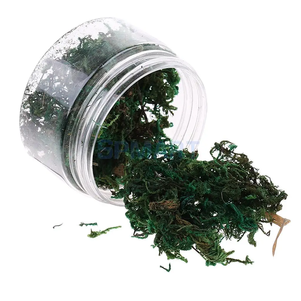100ML/500ML Dry Grass Model Moss for Layout Terrain Vegetation Diorama Building Toy