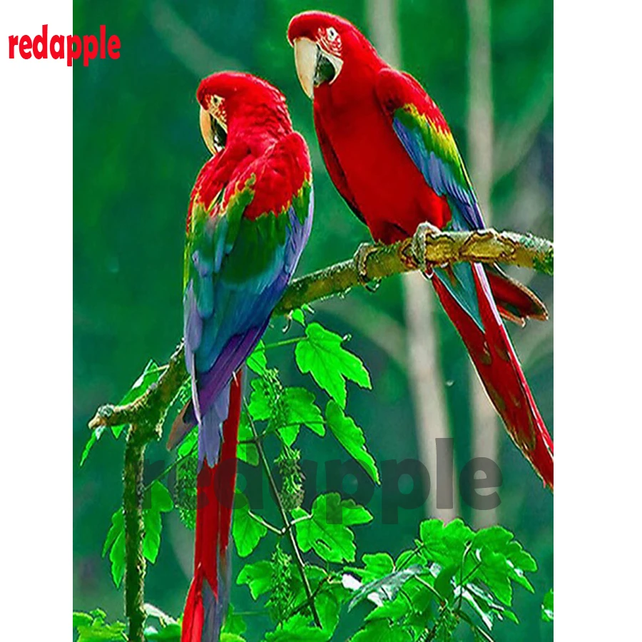 

Parrot,5D,Diamond Painting Bird diamond embroidery mosaic full square cross stitch kits drill rhinestones wall sticker decor