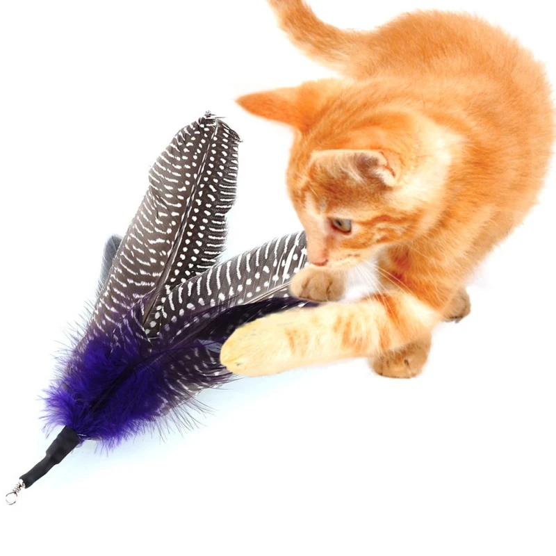 5 шт. кошки Интерактивная птица для кошки перо дом игрушки для домашних животных котенок палочка
