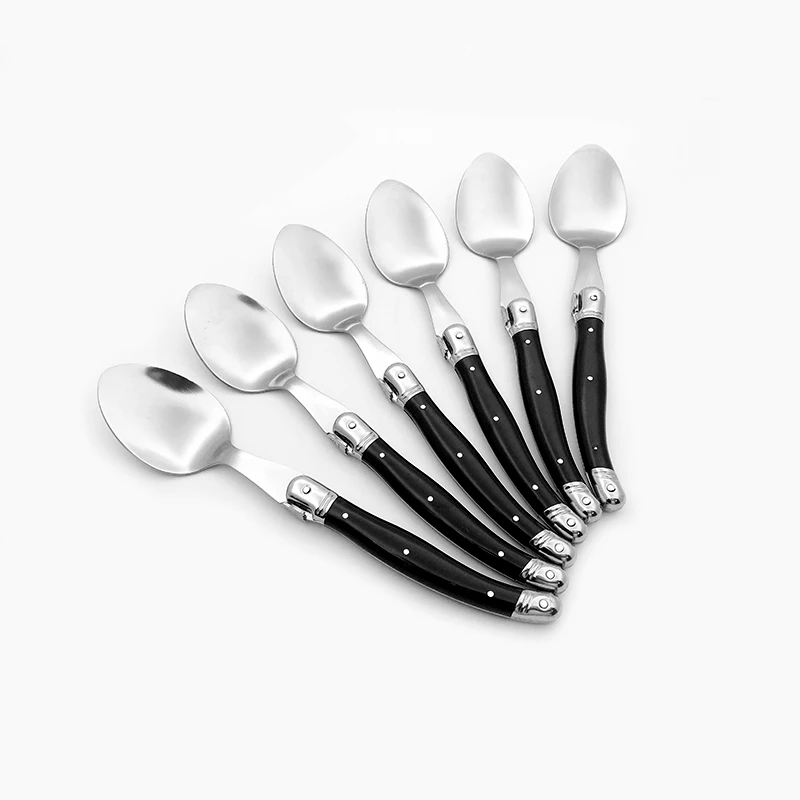 Black dinner spoon set  (3)