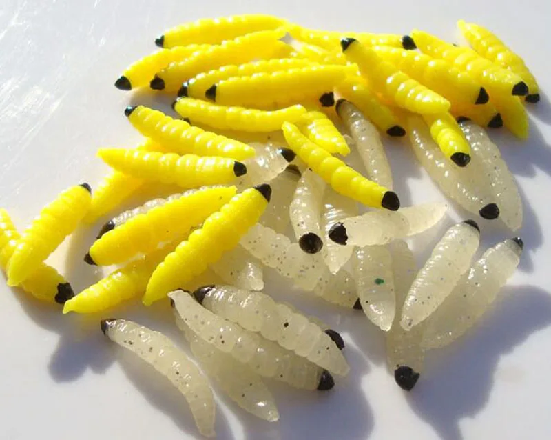 fishing maggots for sale near me