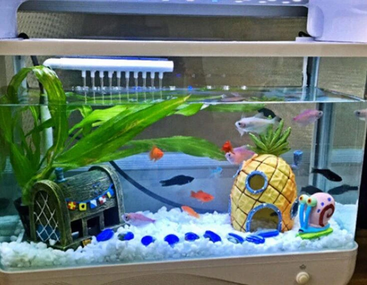 Jason Aquarium ubicaciondepersonas.cdmx.gob.mx