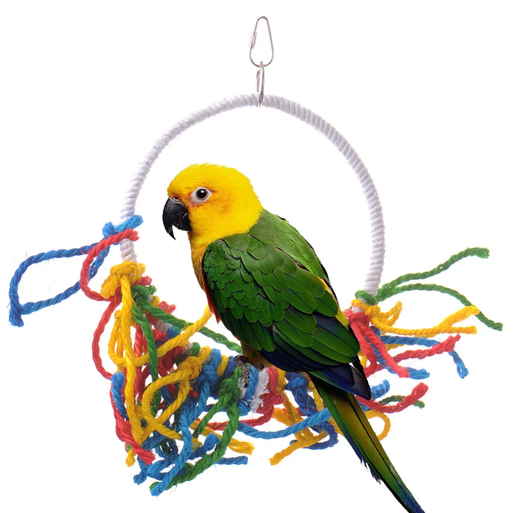 Best 28+ - Buying Birds Pet Yak - things to know when Best 28+ - Buying Birds Pet Yak - things to know when