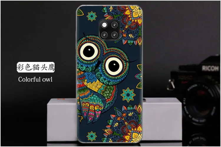  Colorful owl