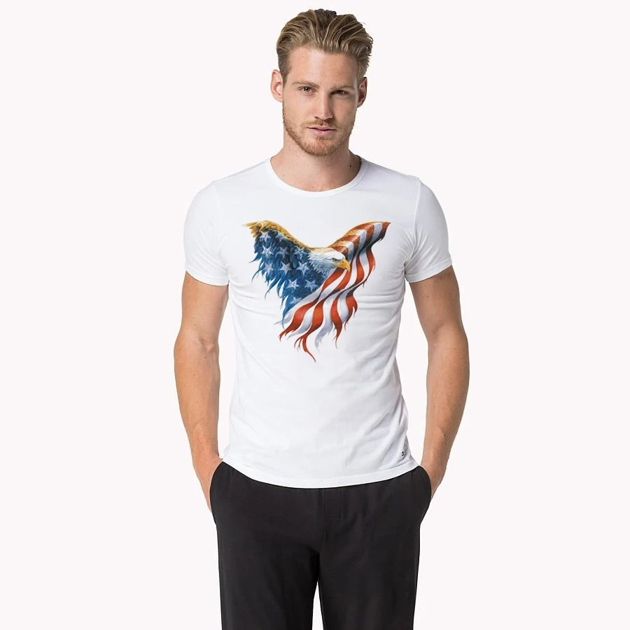 

GLENN BERGER 2019 USA flag Various kinds of element white men tshirt Striped American Flag fashion Men T Shirt Summer Tops Tees