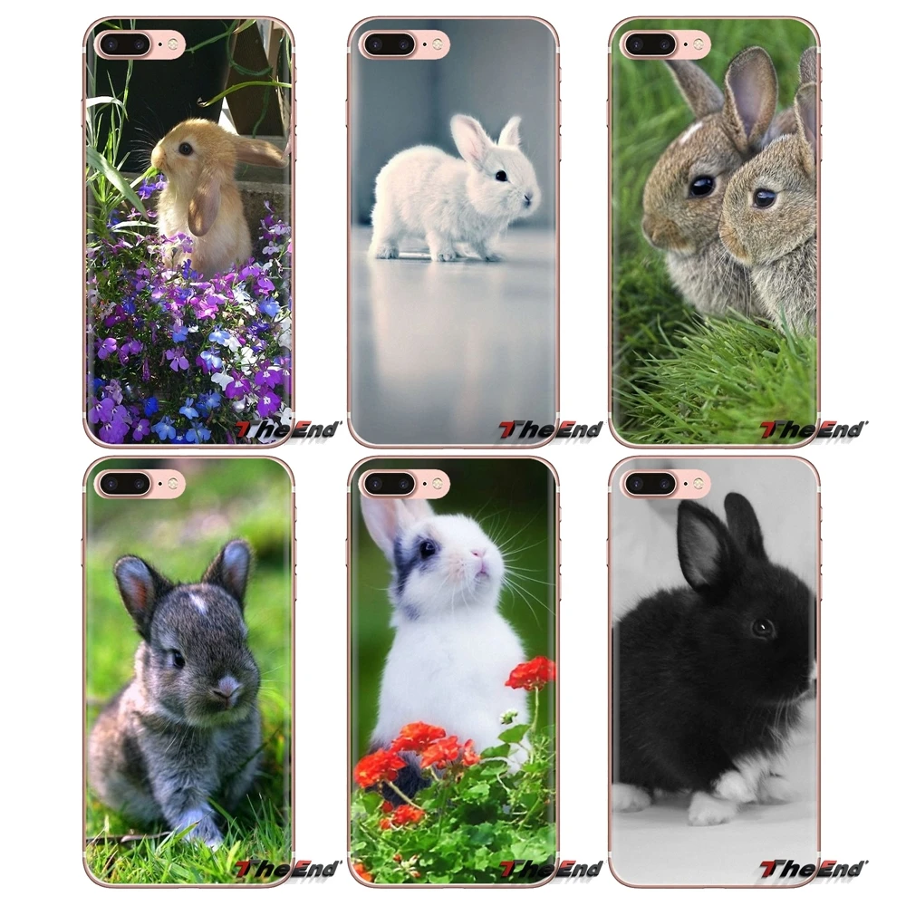 Белые Серые Мягкие прозрачные чехлы с кроликами для iPod Touch Apple iPhone 4 4s 5 5S SE 5C 6 S 7 8 X XR