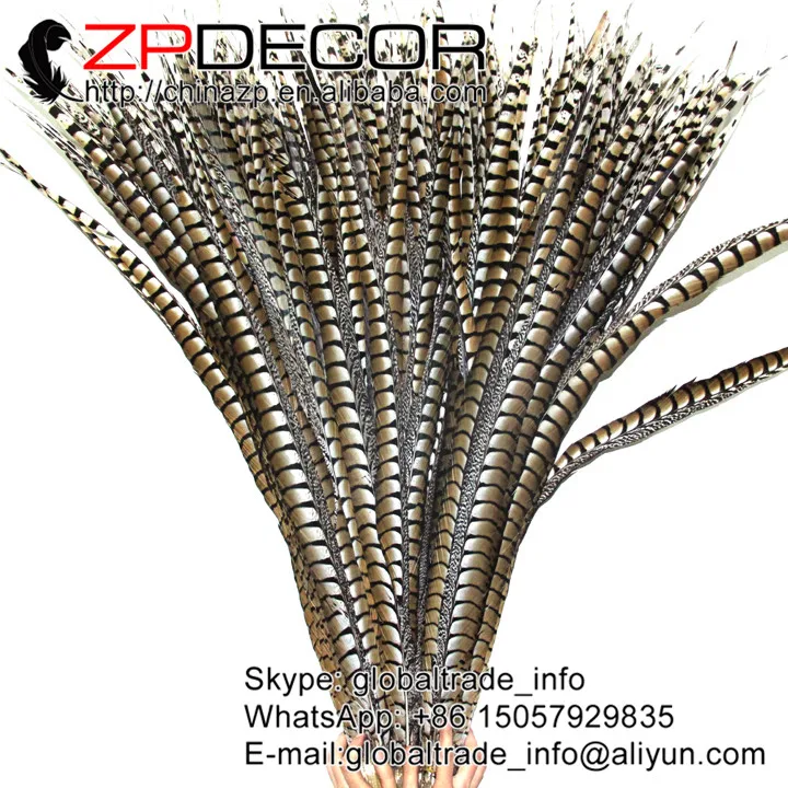 Ведущий поставщик ZPDECOR 40 44 дюйма (100 110 см) 10 шт./лот натуральная леди Amherst фазан