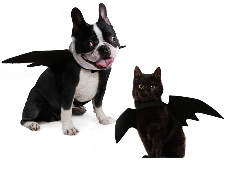 [MPK костюмы для собак] Крылья летучей мыши, Забавный костюм летучей мыши для собак и кошек, подходит для собак разных размеров