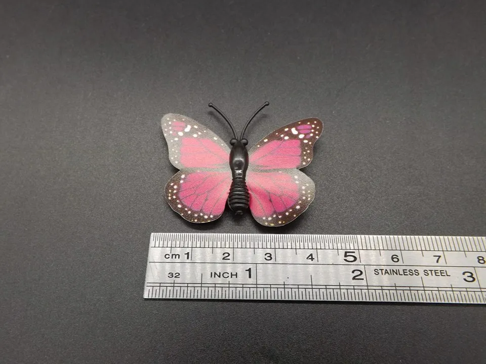 I249-Butterfly (10)