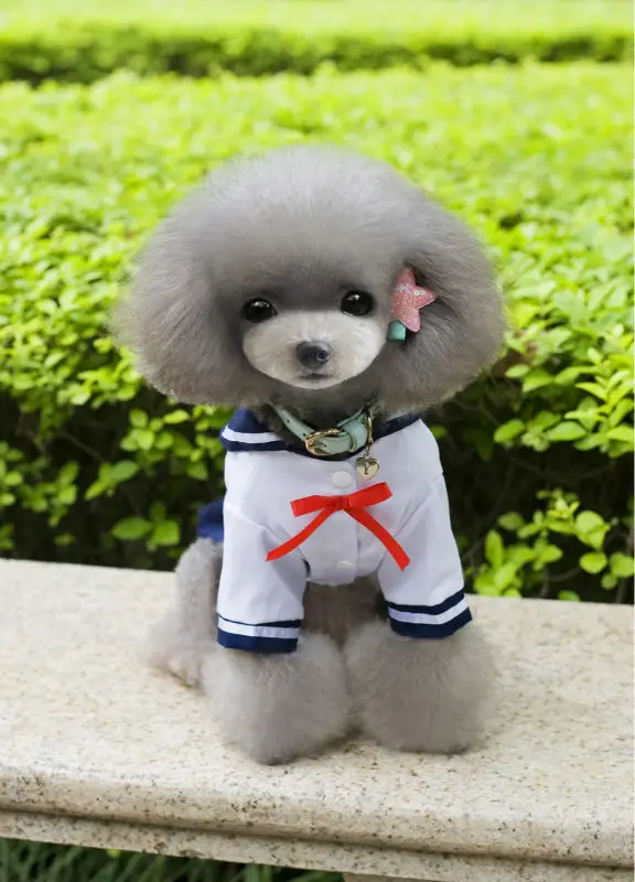 A25_Spring_Summer_Pet_four_legs_Suits_clothes_Navy_Cotton_Puppy_dog_Bib_Jumpsuits_Rompers_pants_dress_Clothes_ (6)