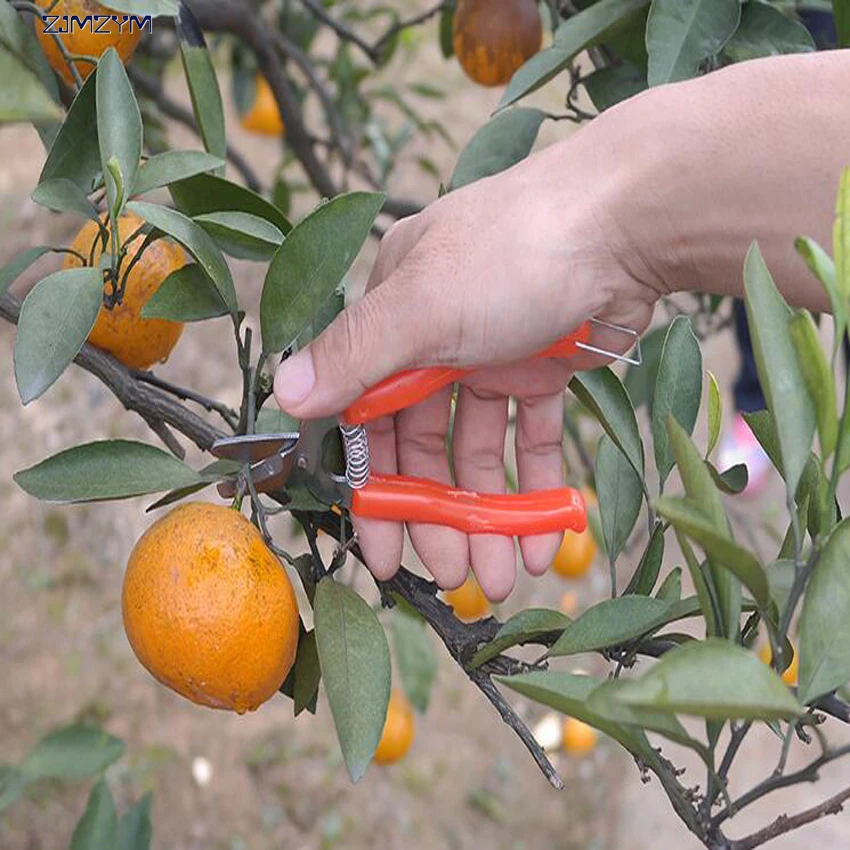 high quality stainless steel orange scissors small fruit tree pruning shear for gardening experts | Инструменты