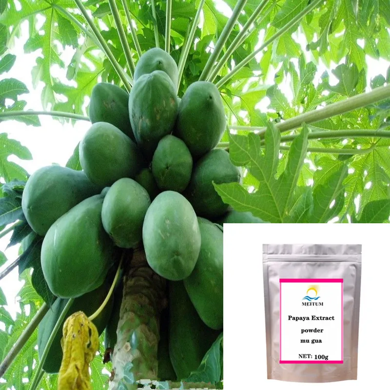 

Natural high quality papaya extract powder, beauty breast enhancement, antibacterial, papaya powder, free shipping