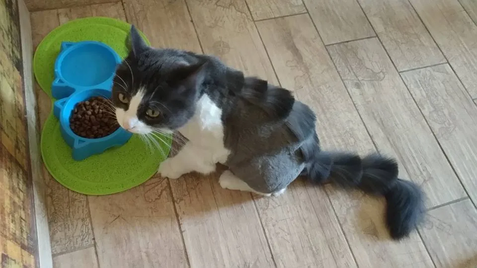 UT8E0LjXKlXXXagOFbXo