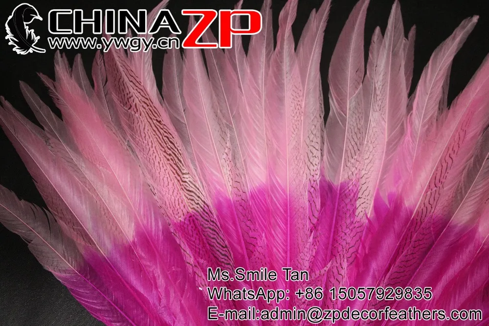 65-70cm silver pheasant feathers Ombre color Pink wholesale Carnvial showing  - (2)