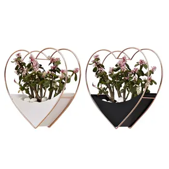 

Home Living Room Innovative Wall Decoration Garden Ornament Wall Hanging Succulent Planter Flower Pot Rose Gold White/Balck