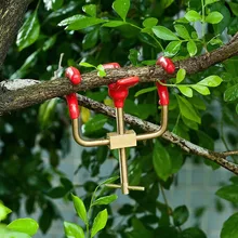 Bonsai Branch Bender Exceptional Wonderful Gyrate Installation Brass Material Made By Tian Bonsai Tools Bonsai Branch Bender Exceptional Wonderful Gyrate Installation Brass Material Made By Tian Bonsai Tools