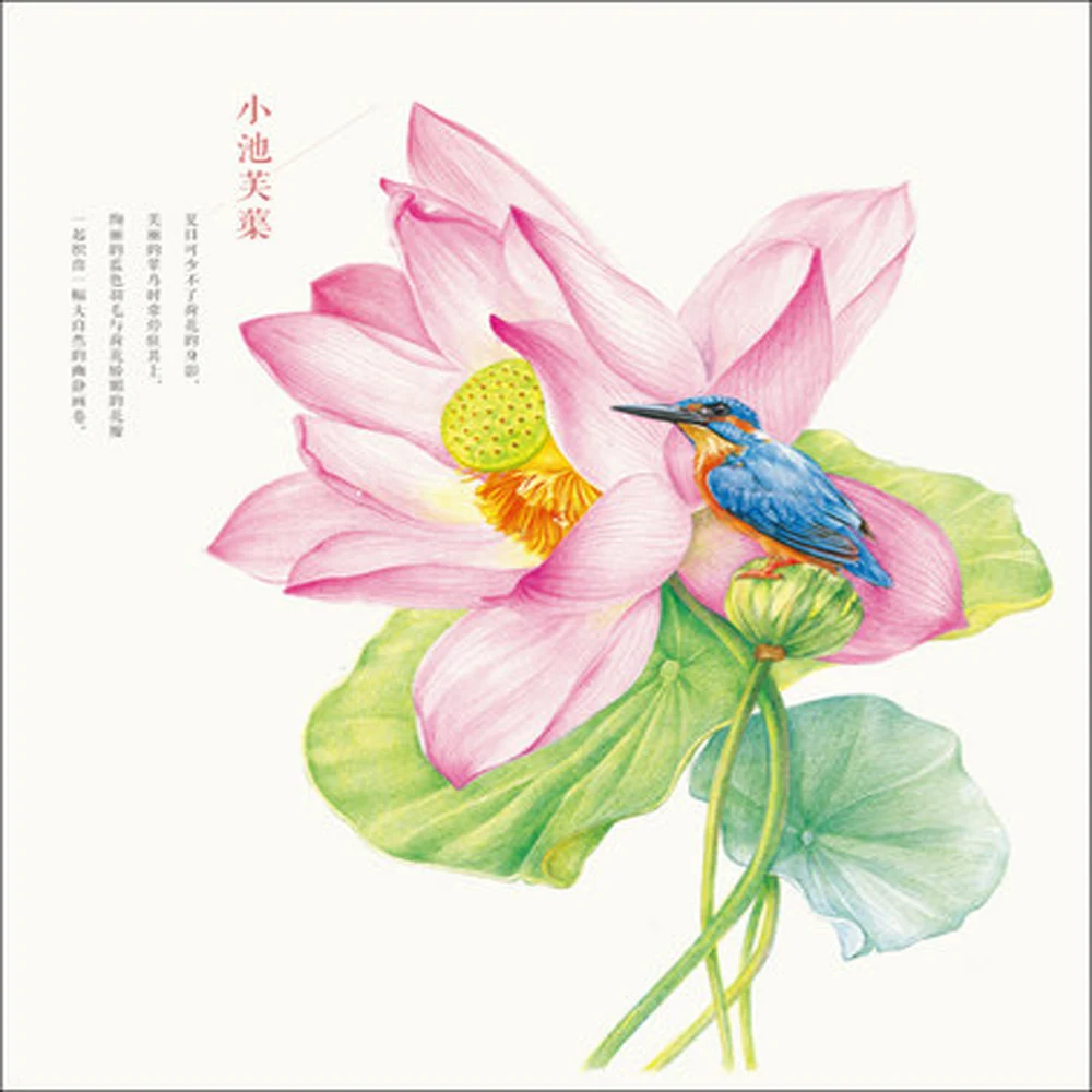 "Fiori dipinti bird" matita di colore disegno libri schizzo a matita tutorial colore dipinto a mano libro illustrazione tecniche di piombo in " Fiori