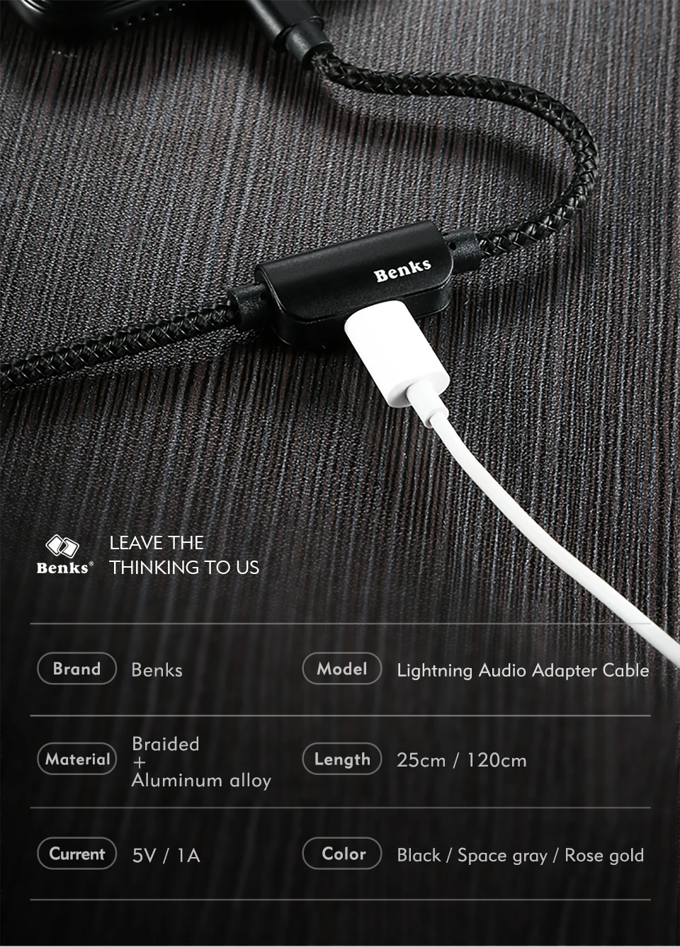 Lightning Audio Adapter Cable (10)