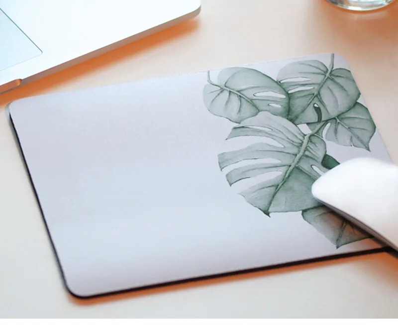 TB2Q20cgrZnBKNjSZFGXXbt3FXa_!!723625419