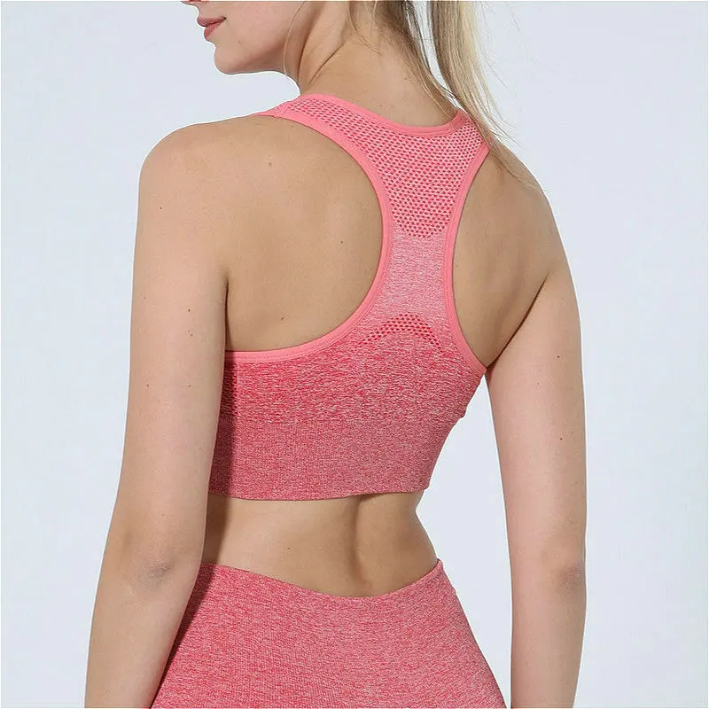 Orange pink ombre_5