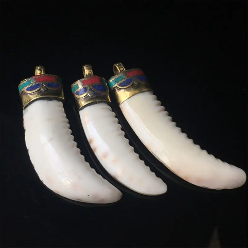 TBP556 Nepal old Conch shell Big Pendants Tibetan Fang Amulet for ... TBP556 Nepal old Conch shell Big Pendants Tibetan Fang Amulet for Man clamshell