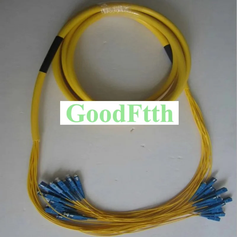 

Fiber Patch Cord SC-SC UPC SM 12 Cores Trunk Breakout 2.0mm GoodFtth 100-500m