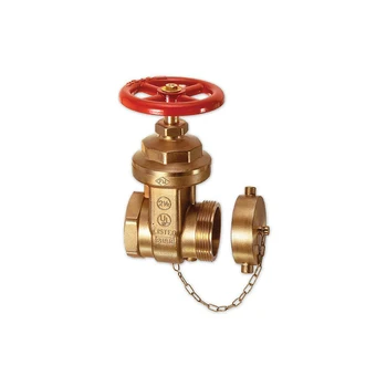 

2-1/2" NPT Fire Hydrant Gate Valve Brass Gate Valve with Cap 2-1/2" Female thread x 2-1/2" Male DN65