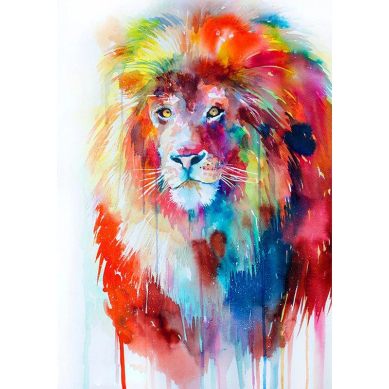 20x30 25x35 30x40 35x50 40x60 50x75 60x90     
