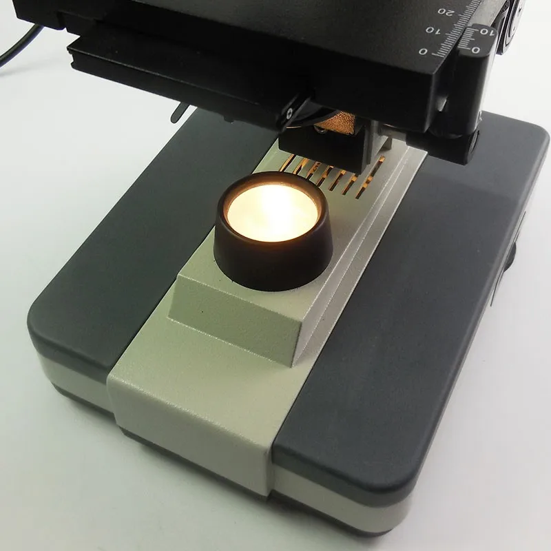 DSCN6441 