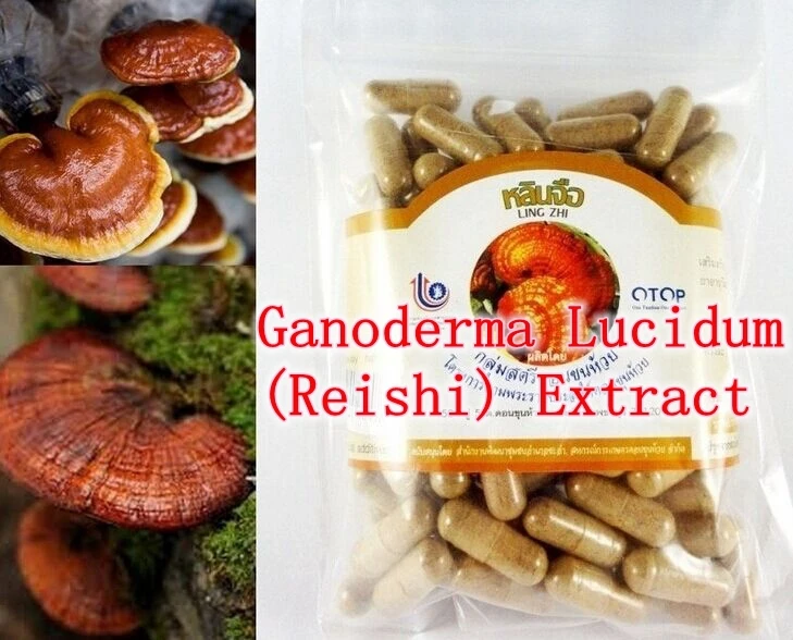 

300Counts x High Quality Ganoderma Lucidum(Reishi) Extract 30% Polysaccharide 500mg capsule free shipping