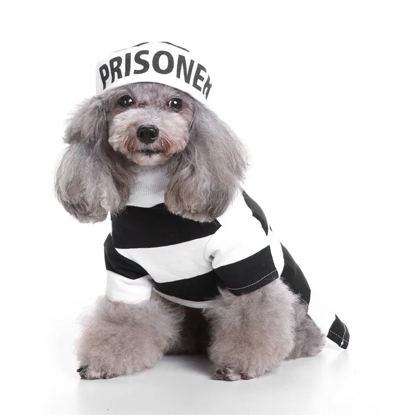 Модная ткань делает ваших домашних животных разными, черно-белые полосы CoolPet Косплей Костюм Собака Костюм Одежда#0811 B