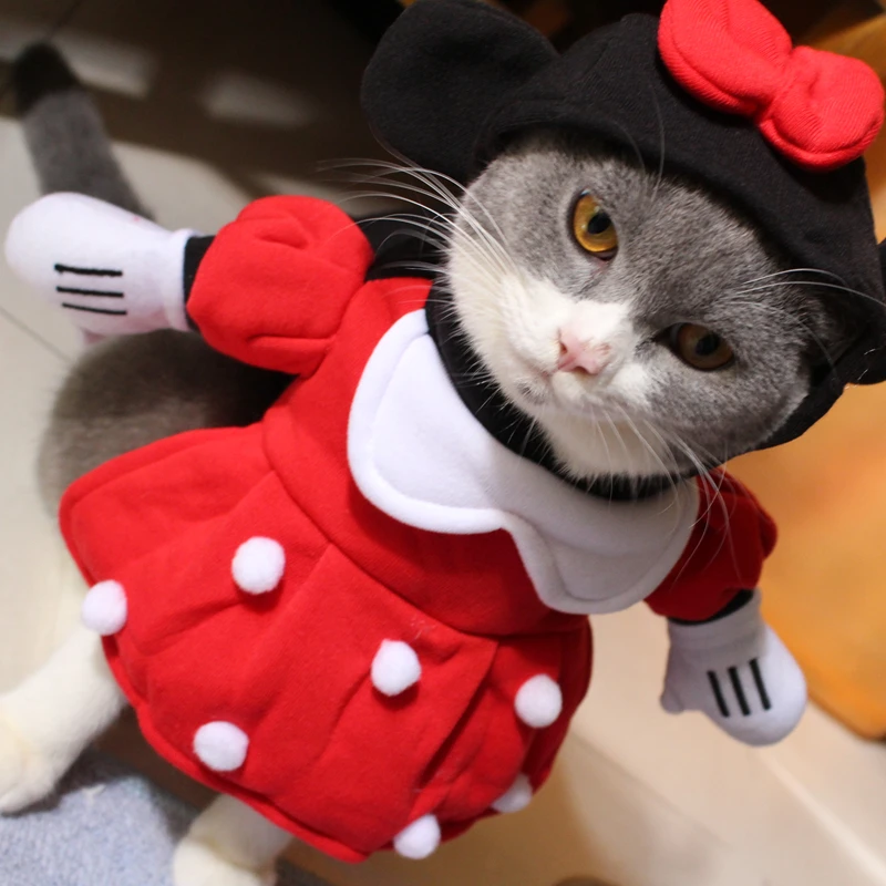[MPK cat costumes] Забавное платье для кошки Минни, поставляется с шапочкой