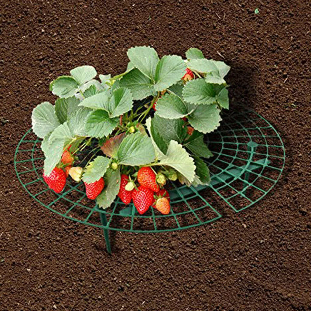 Пластмассовый инструмент для выращивания клубники поддерживает сохранение клубники в дождливые дни Легкая установка