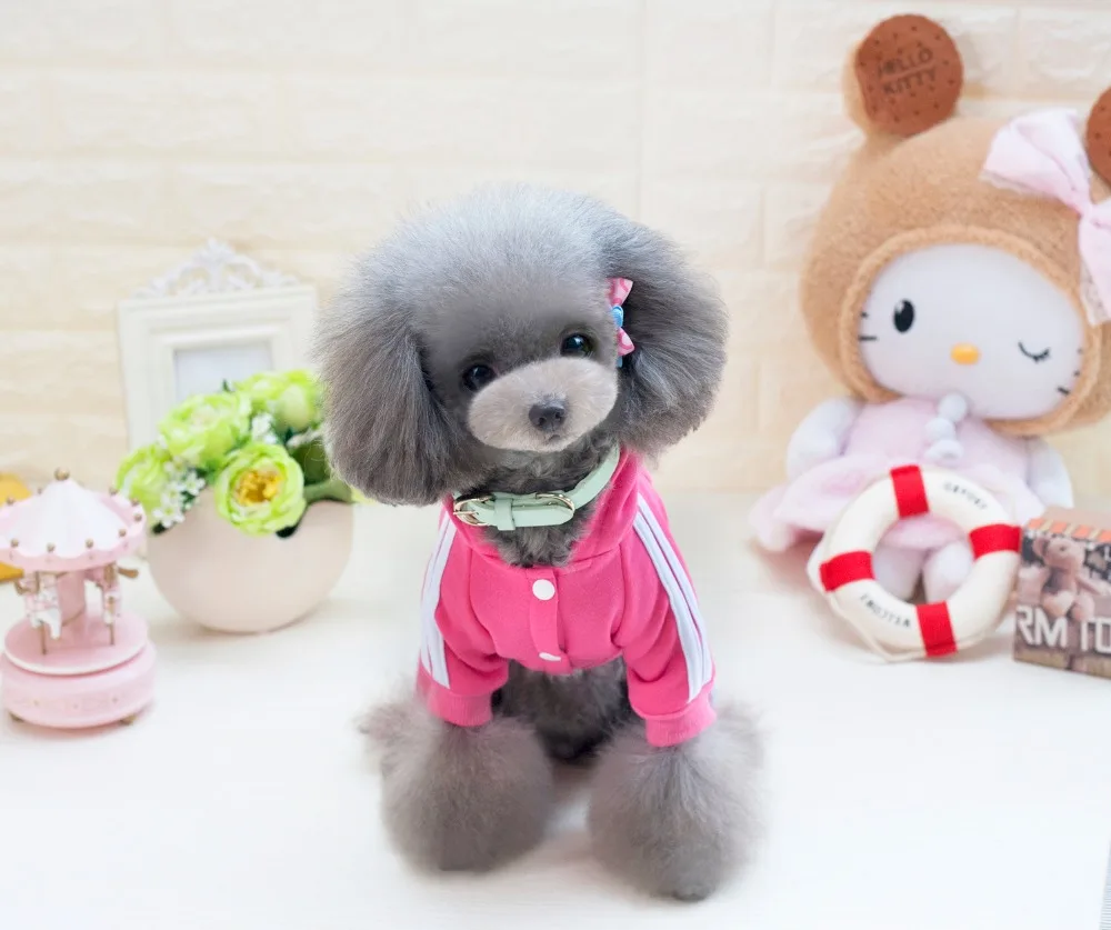 Y73_New_Pet_Cat_Dog_Costume_Clothes_Cartoon_Bear_Puppy_dog_4_Legs_Jumpsuits_Autumn_Pet_Hoodie_Rompers_Coat_Clothing_ (10)