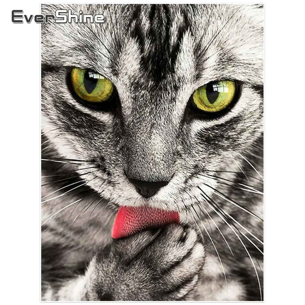 

Evershine DIY Diamond Painting Cat Full Drill Pictures Of Rhinestones Cross Stitch Diamond Embroidery Animals Home Decor