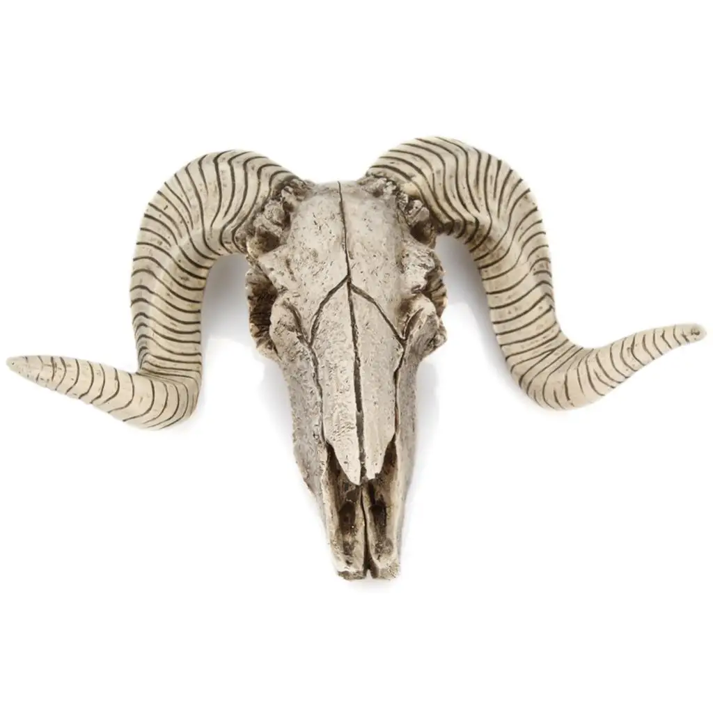 Wall Mounted Animal Head Garden Resin Decor Skull Sheep's Head