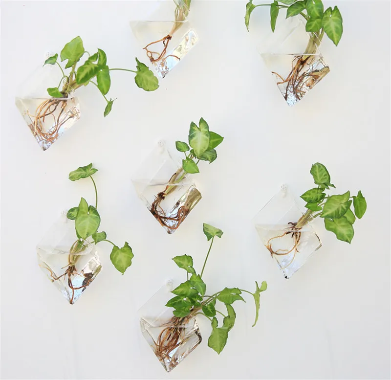 Diamond Shape Hanging Flower Pot Wall Mounted Glass Vase Wall Hanging Planter Small Plants Glass Terrarium Home Decor4
