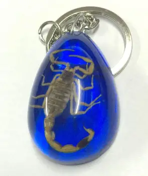 

FREE SHIPPING 12 Keychain Rare NEW Real Chinese Gold Scorpion Blue Drop Color Jewelry