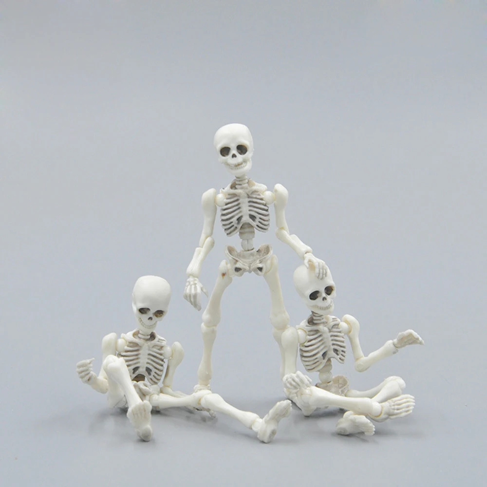 

Kids Funny Movable Mr. Bones Skeleton Human Baby Model Skull Full Body Mini Figure Toy Halloween Gift Toys for Children