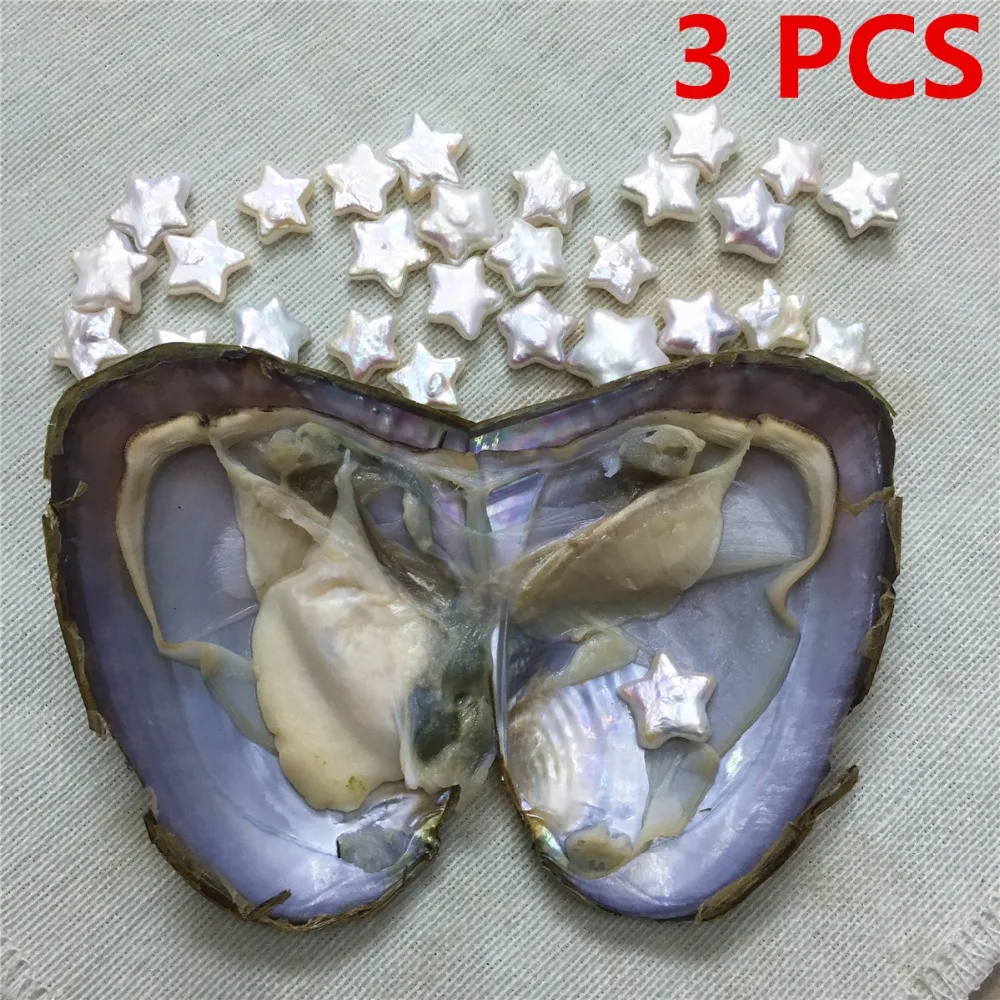 3PCS New Product 8 10mm Five pointed star Pearl in Freshwater Oyster