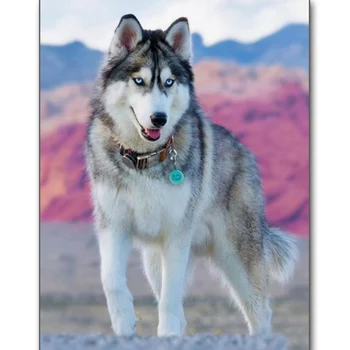 

Diy,diamond embroidery Husky,dog,5d diamond painting animals full diamond mosaic 3d pictures of rhinestones cross-stitch kits
