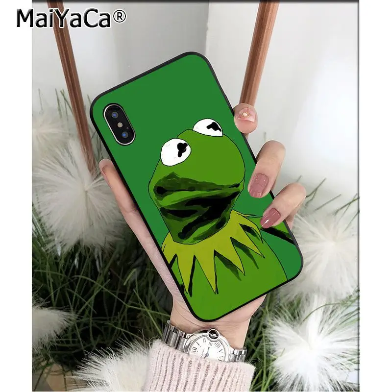 Kermit the frog