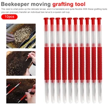 10 комплектов Пчеловодство движение червей иглы пчелы оборудование пыльца пчеловодство оборудование