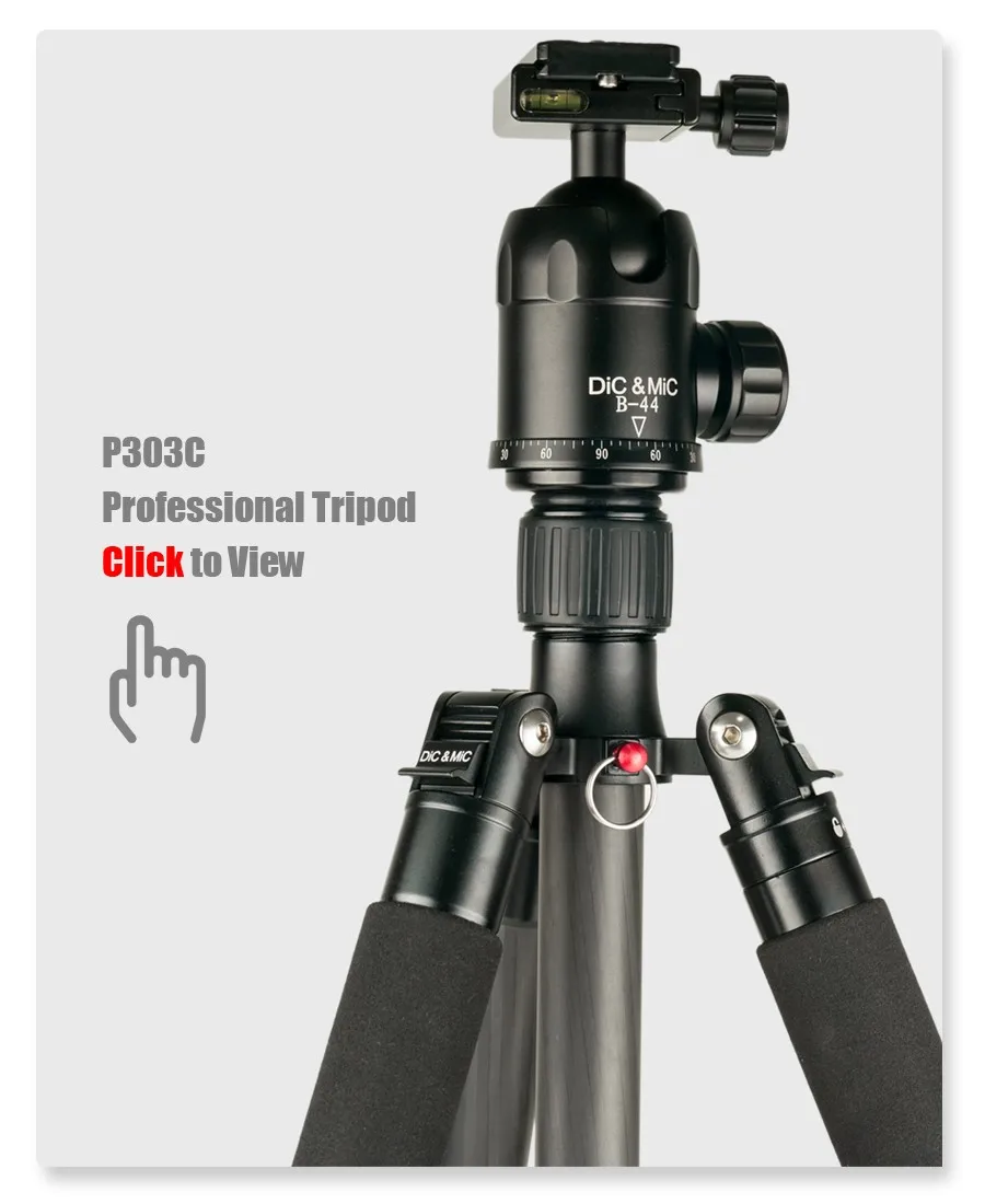 P303C 